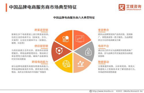 艾媒咨詢 2023年中國(guó)品牌電商服務(wù)商行業(yè)研究報(bào)告